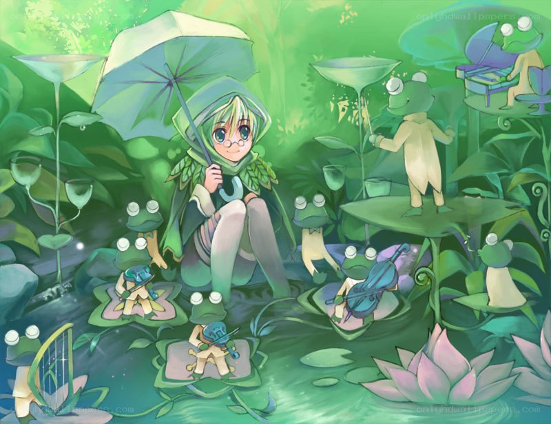 frog orchestra in a pond