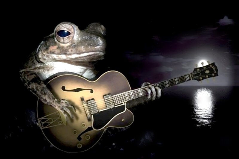 Frog Playing Guitar