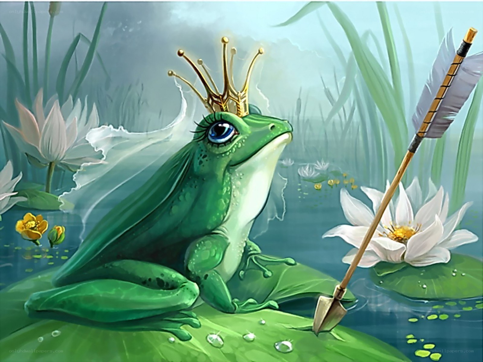 frog prince on lily pad