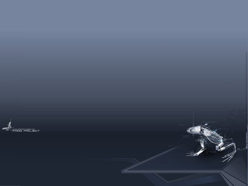 Frog Project digital artwork