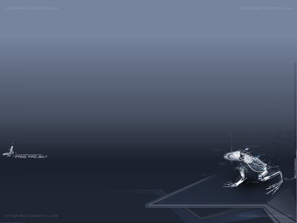 Frog Project digital artwork