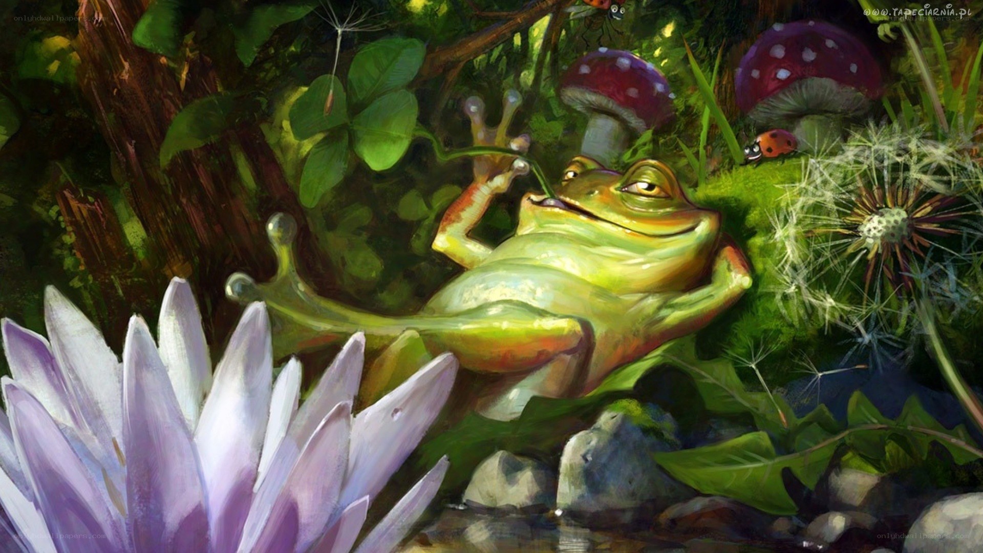 Frog relaxing in a forest