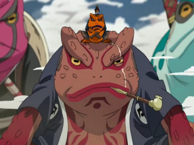 Frog sage with toad on head
