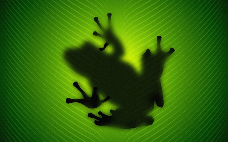 Frog Shadow on Leaf — Green