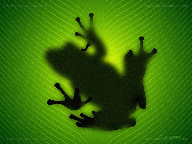 frog silhouette on green leaf