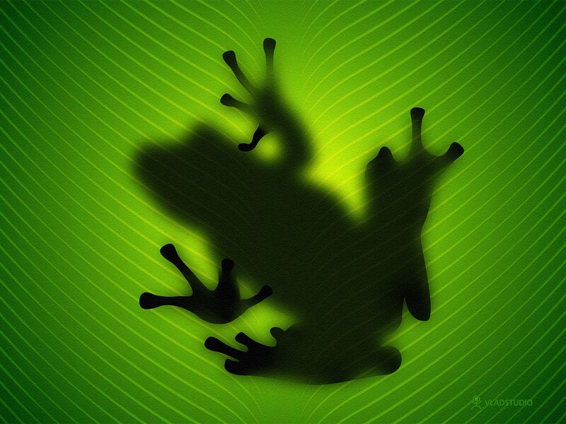 Frog Silhouette on Leaf — Green, Calm