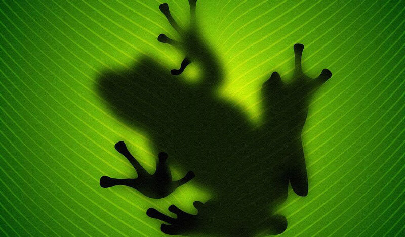Frog Silhouette on Leaf — Green, Natural