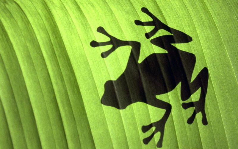 Frog Silhouette on Leaf — Natural