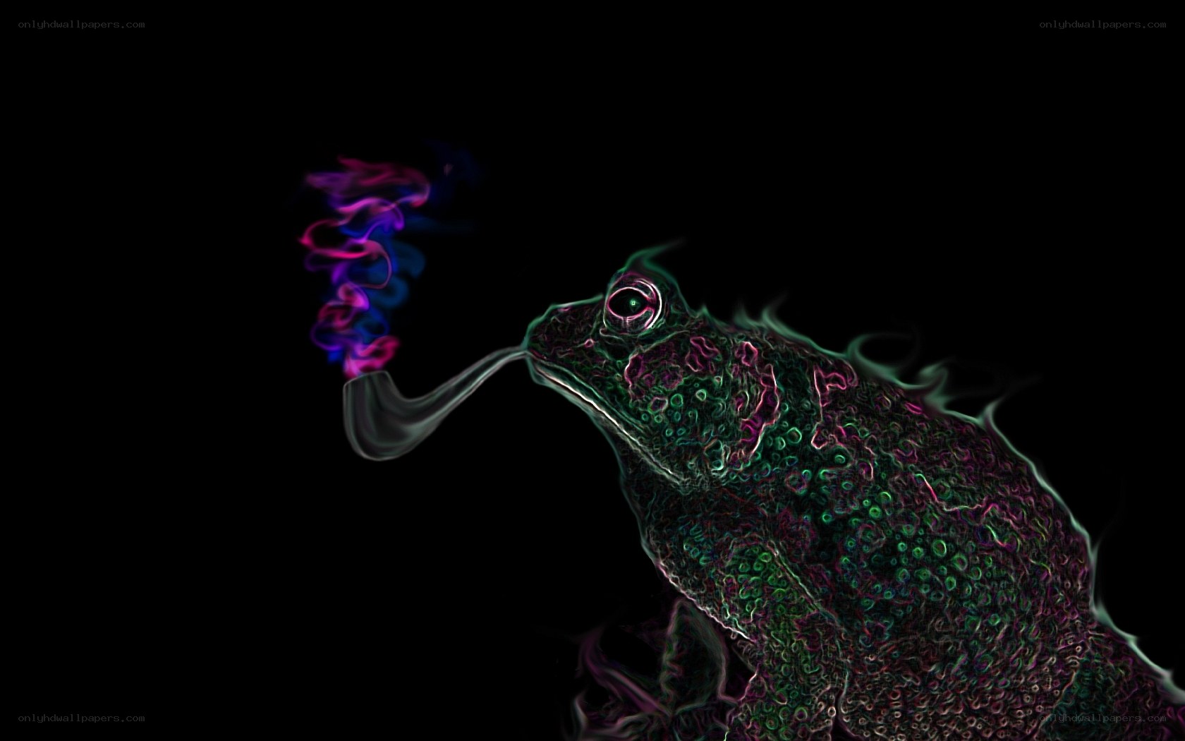 frog smoking a pipe