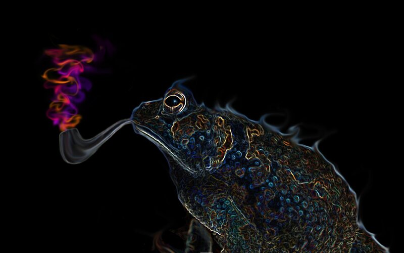frog smoking a pipe