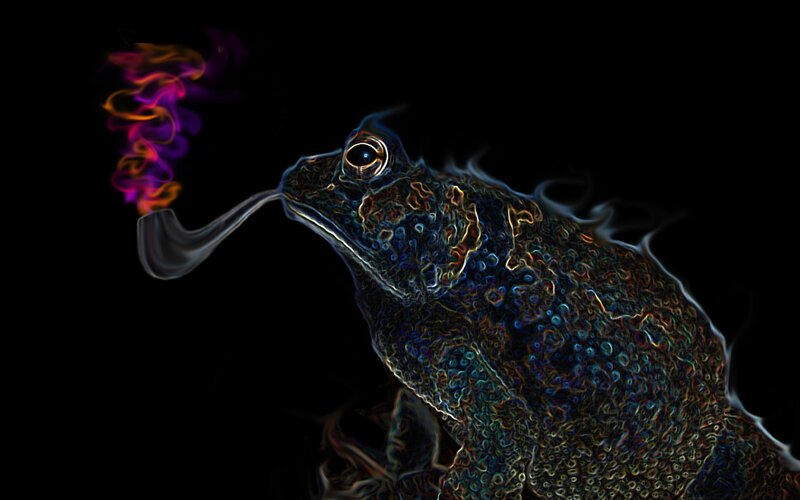Frog Smoking Pipe