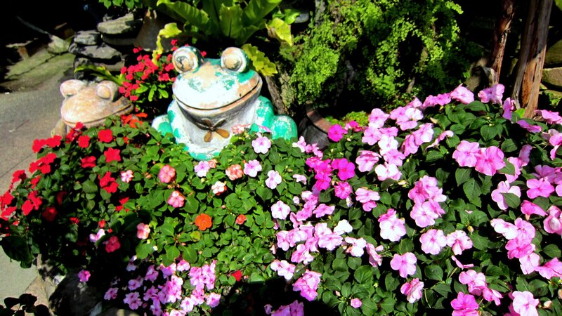 Frog Statues in Garden