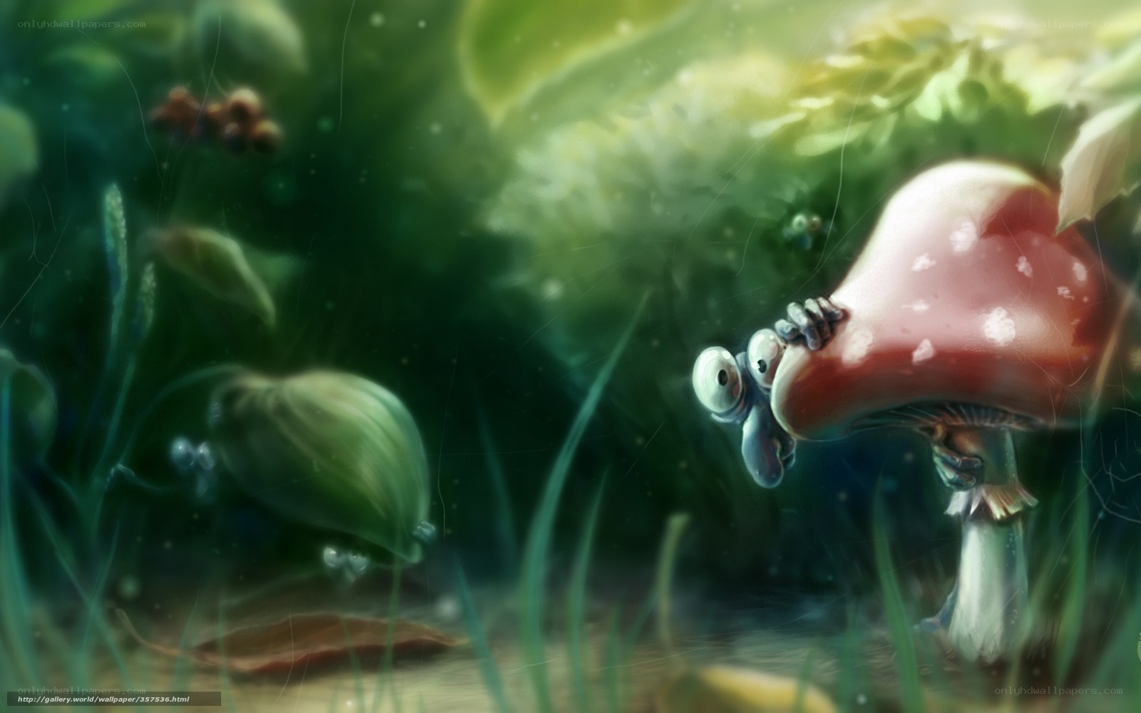 Frog under mushroom in forest