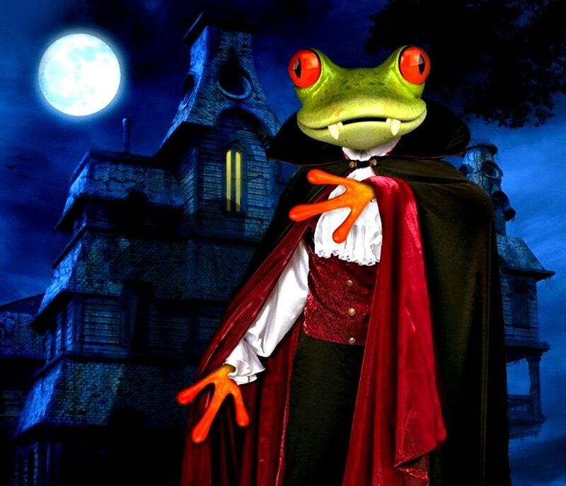 Frog Vampire Character