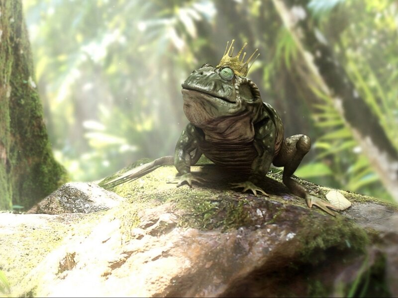 Frog Wearing a Crown