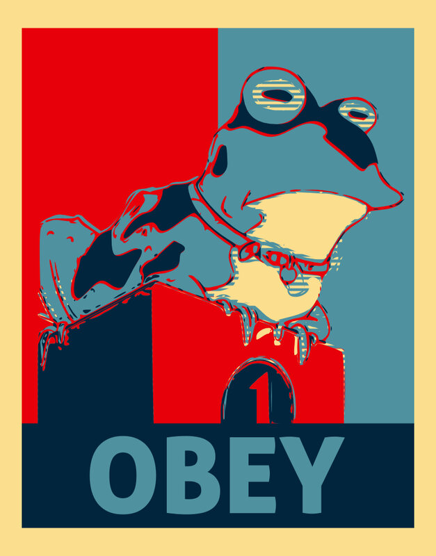 Frog Wearing Goggles