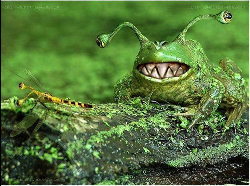 Frog with alien eyes and sharp teeth