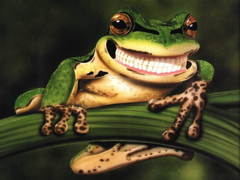 frog with big smile