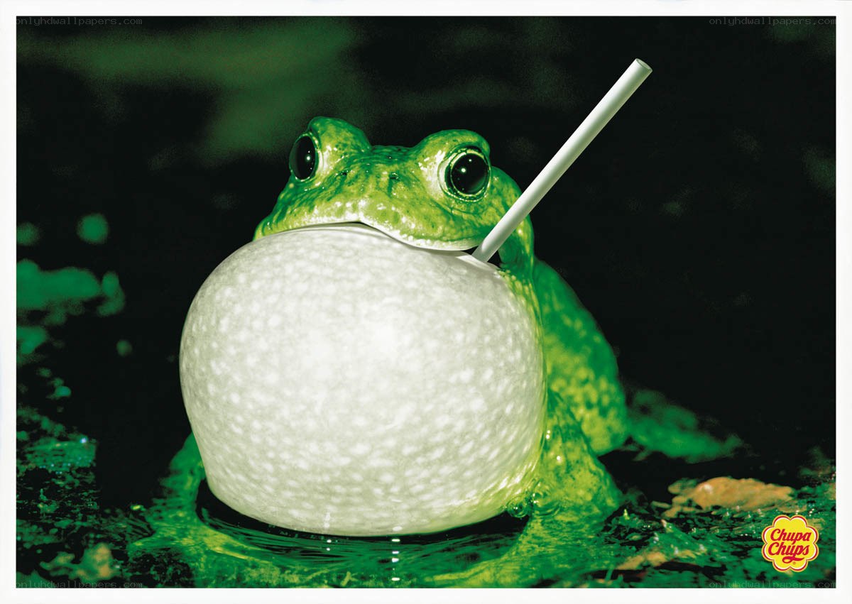 frog with drink advertisement