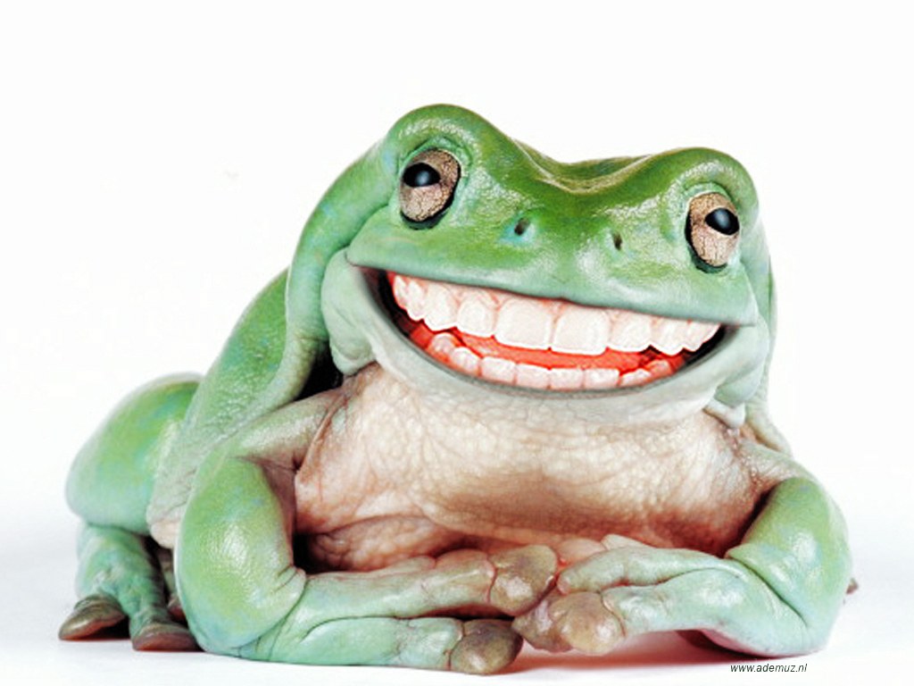frog with human teeth