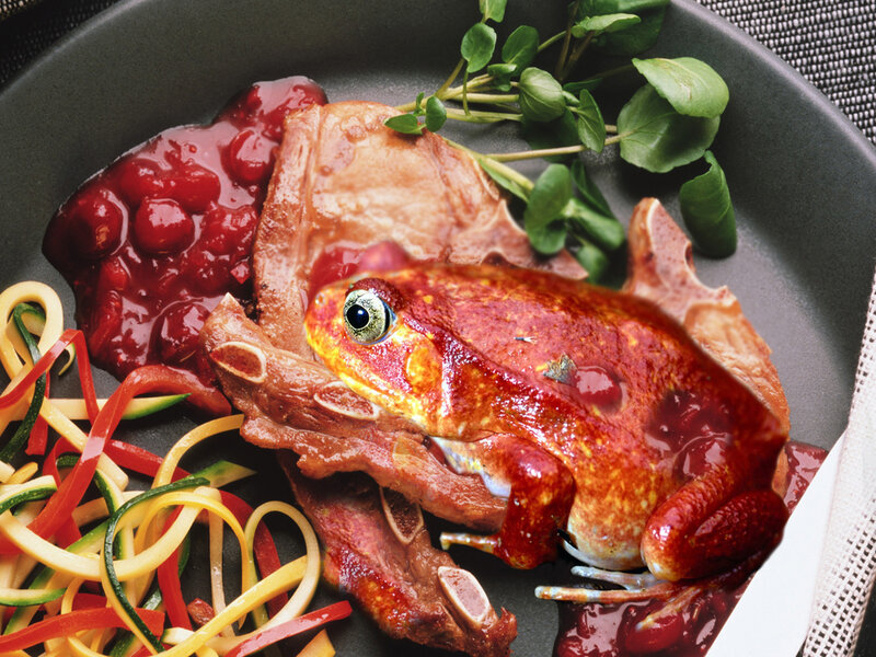 Frog with meat dish