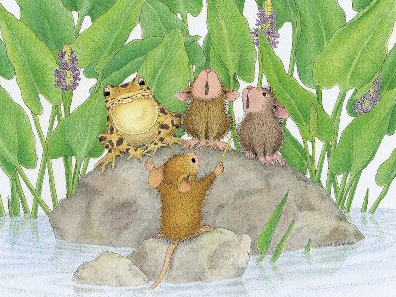 Frogs and Mice on Rocks