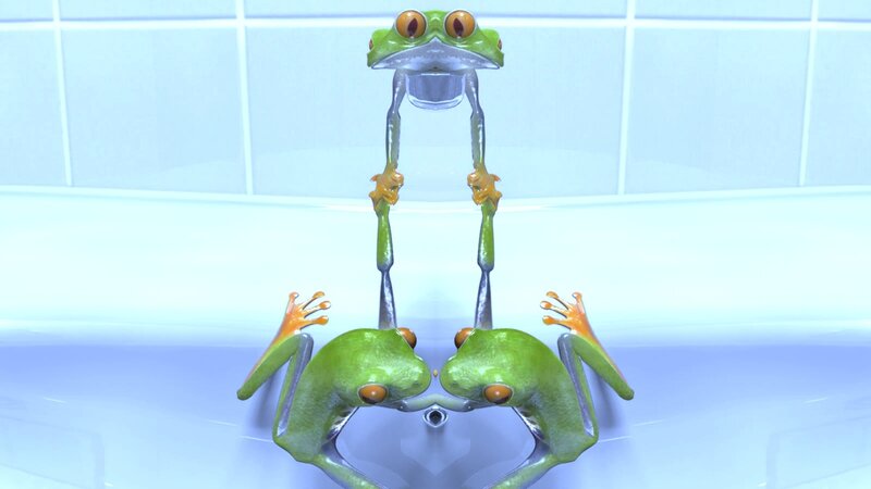 Frogs in a bathroom mirror