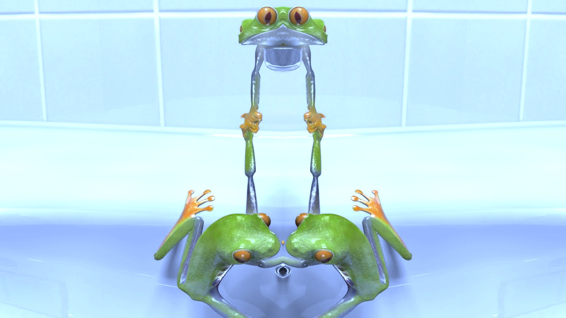 Frogs in a bathroom mirror
