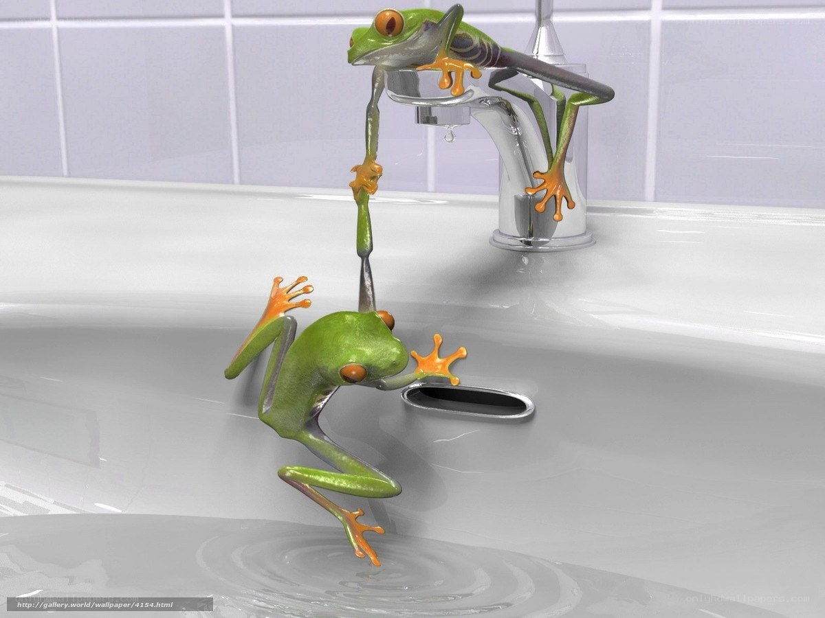 Frogs in a bathroom sink