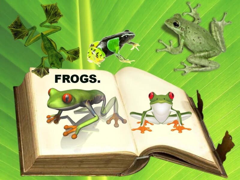 Frogs in a Book