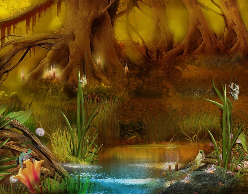 Frogs in a Forest Pond