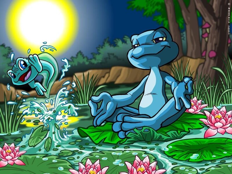 Frogs in a pond at night