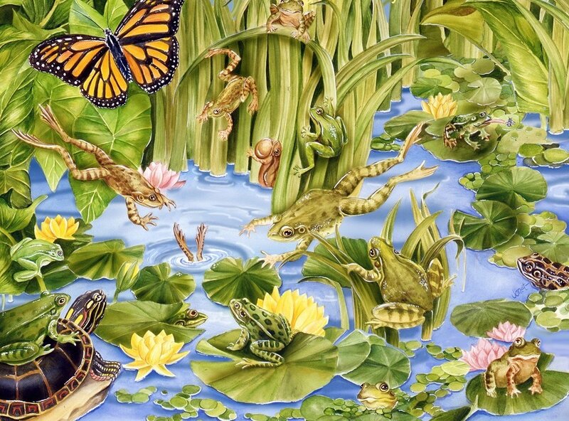 Frogs in a Pond — Green