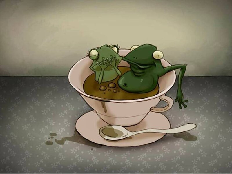 Frogs in a teacup