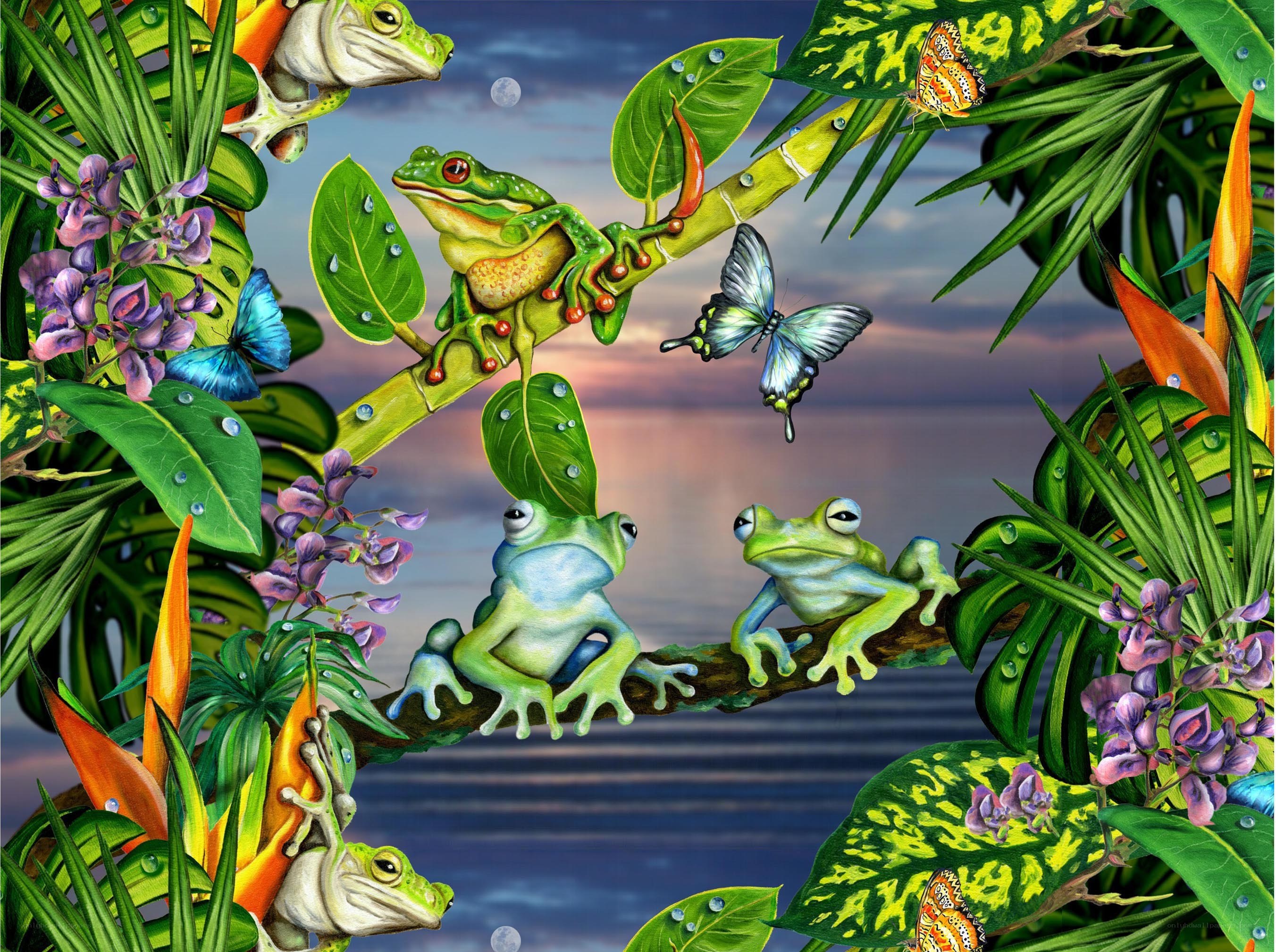 Frogs in a tropical jungle