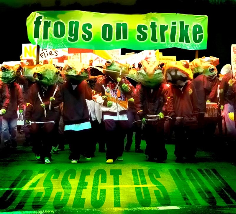 Frogs in Masks