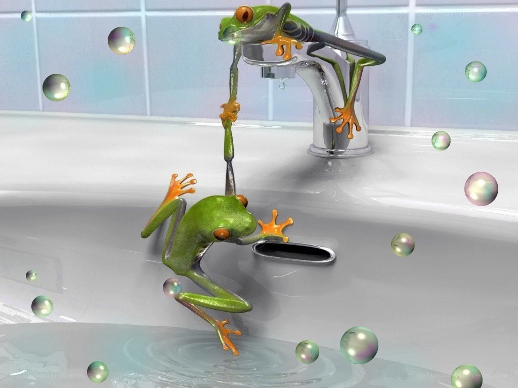 Frogs playing in a sink