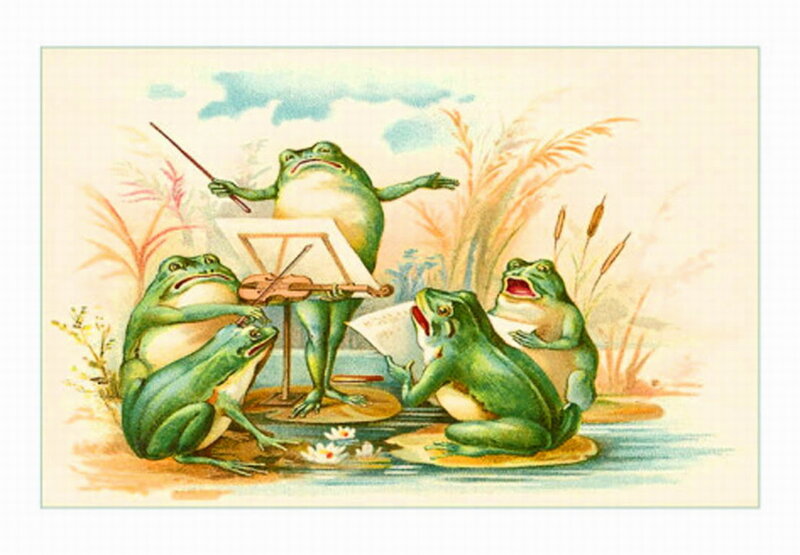 Frogs Playing Music
