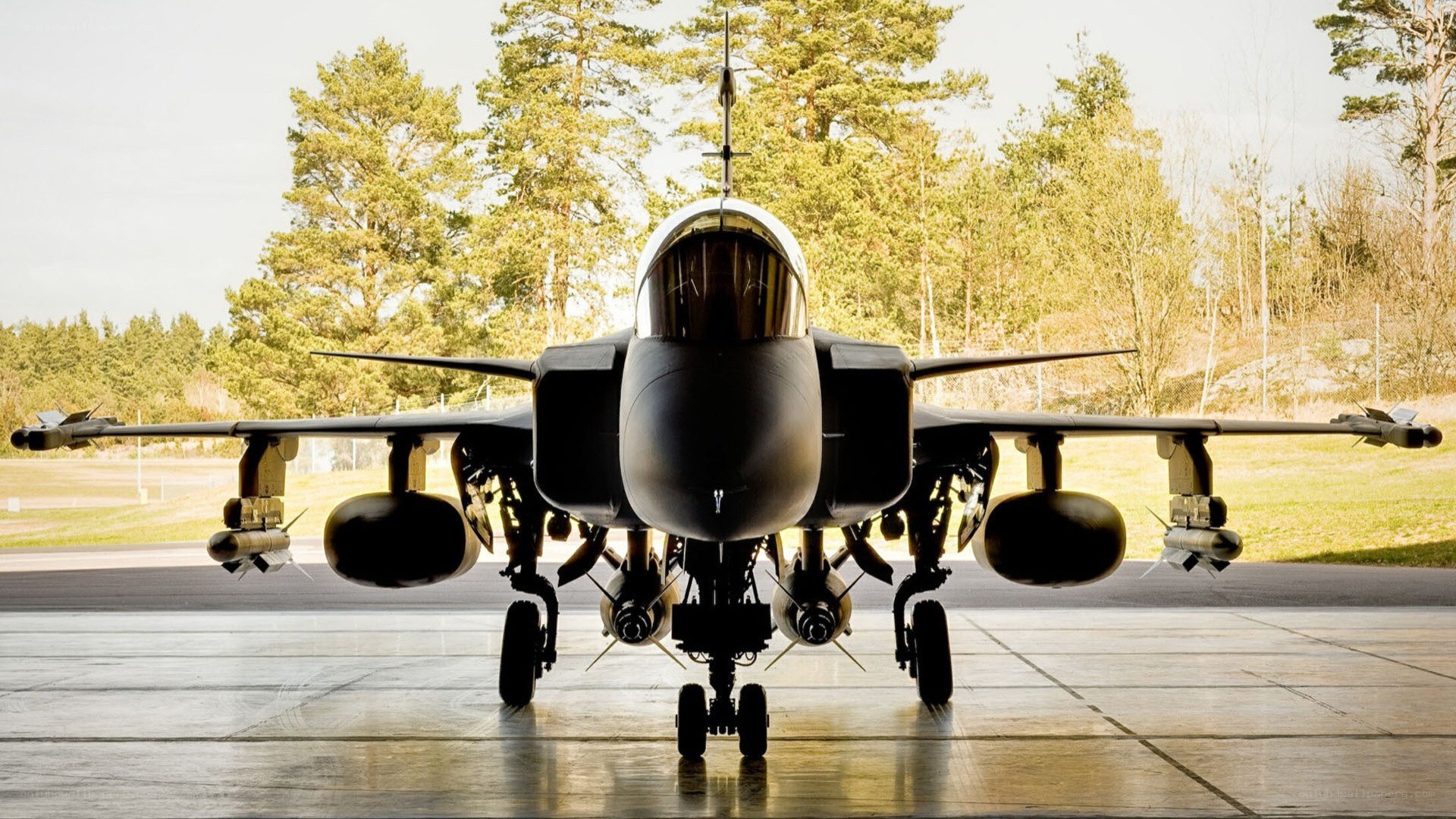 front view of a fighter jet