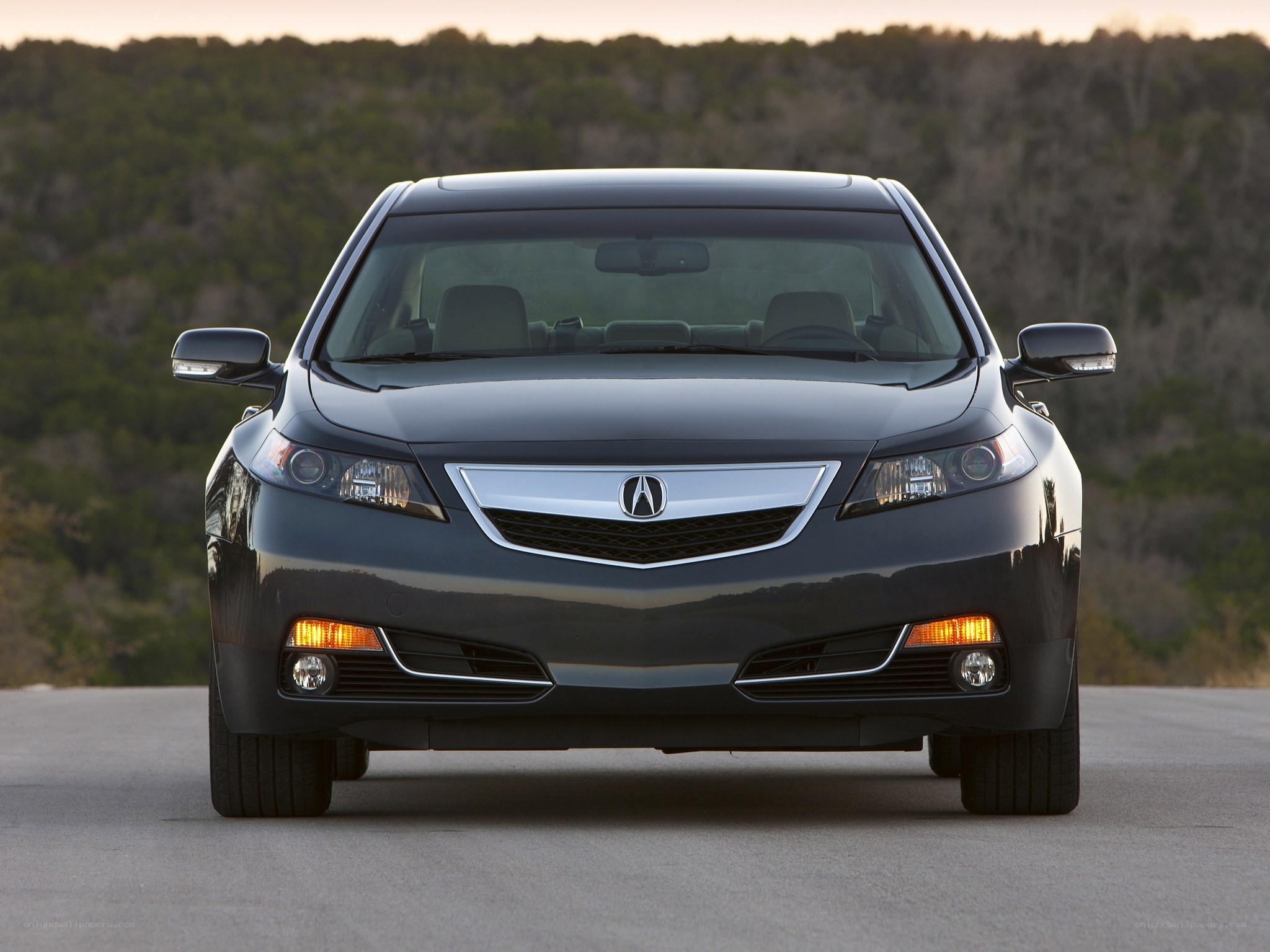front view of black acura