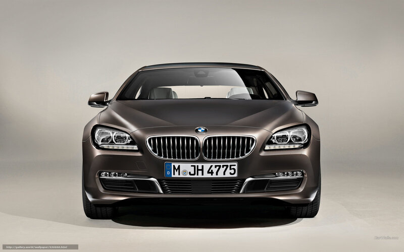 Front View of Brown Car — Neutral