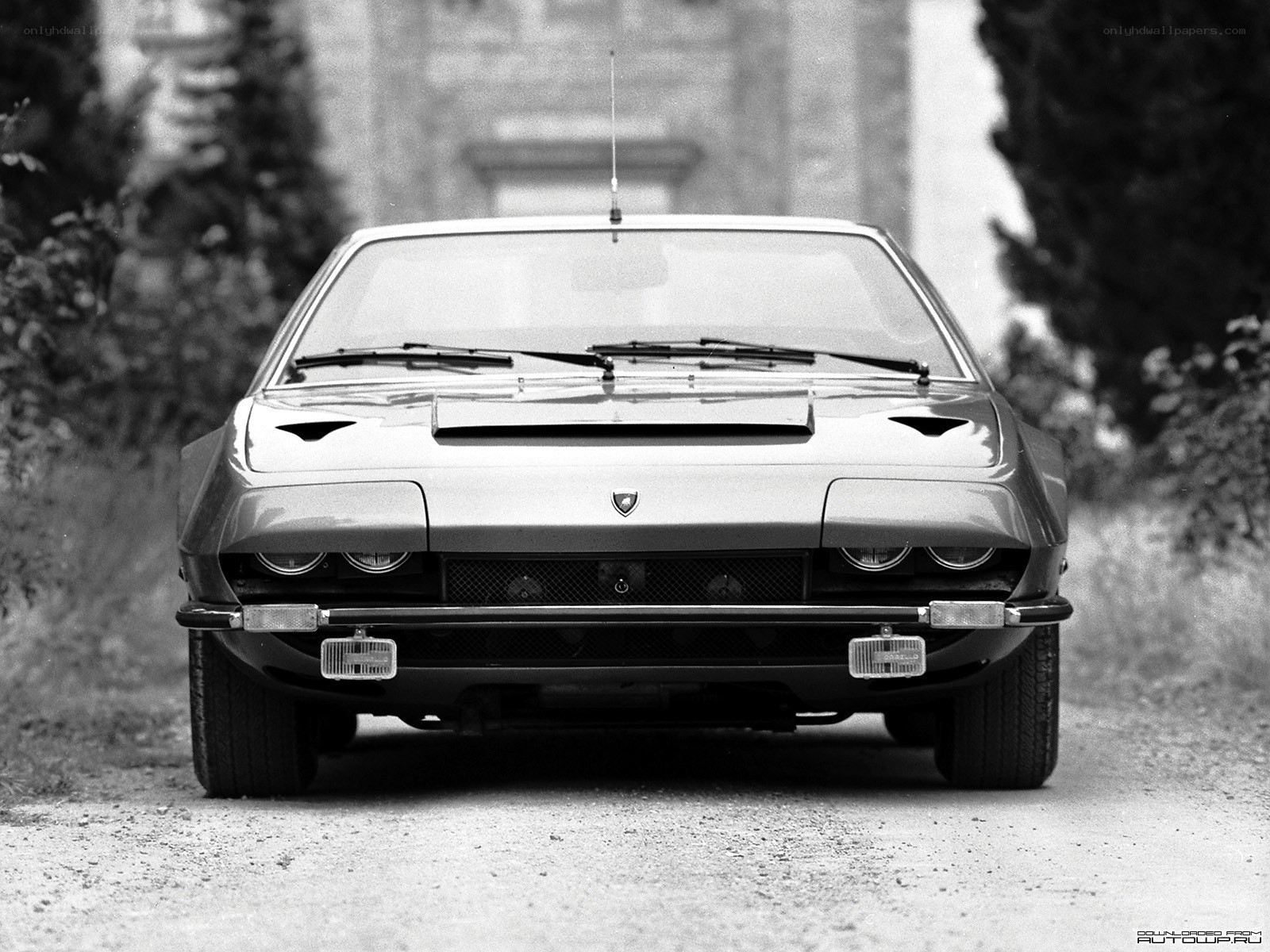 front view of classic lamborghini