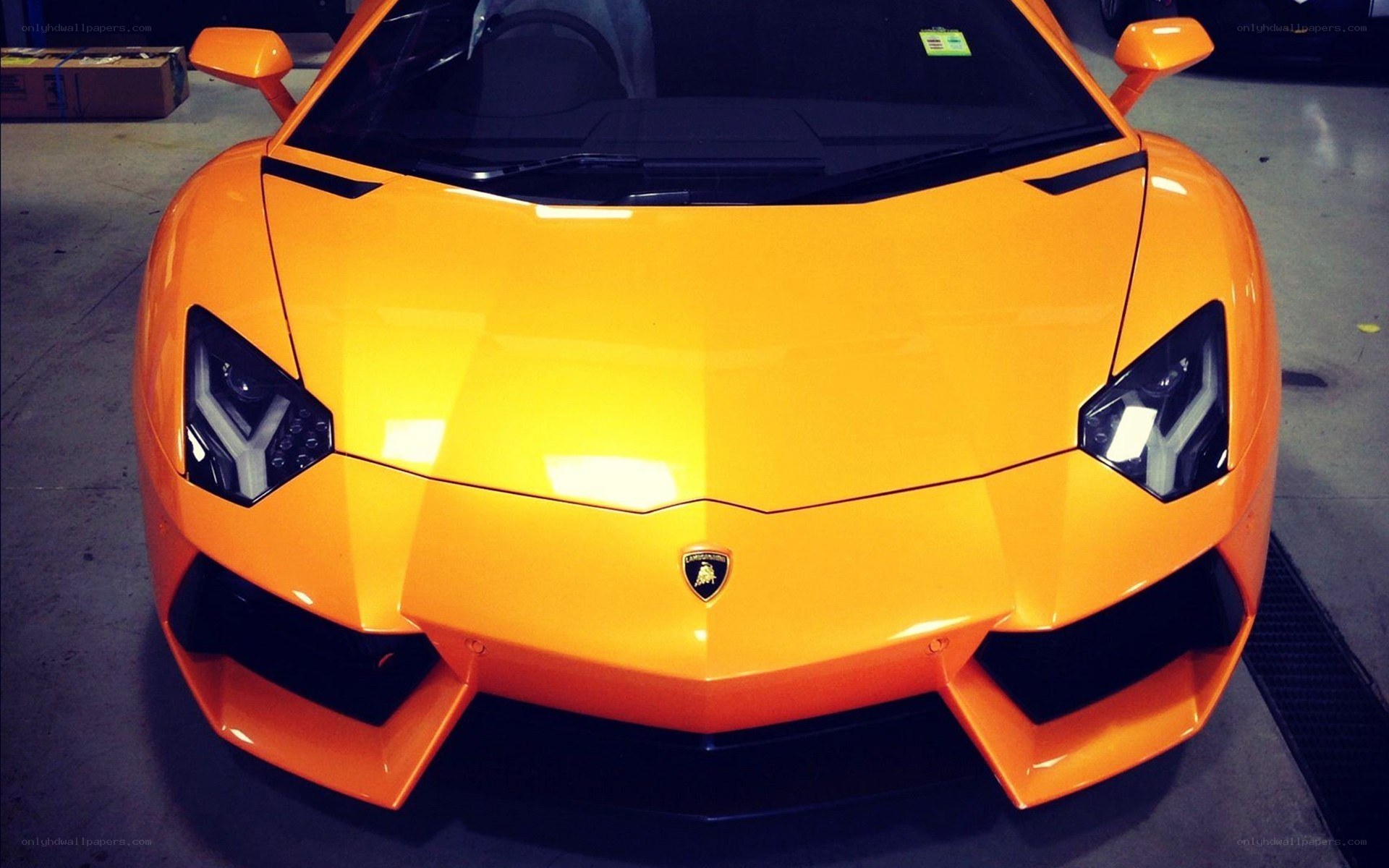 Front view of orange Lamborghini