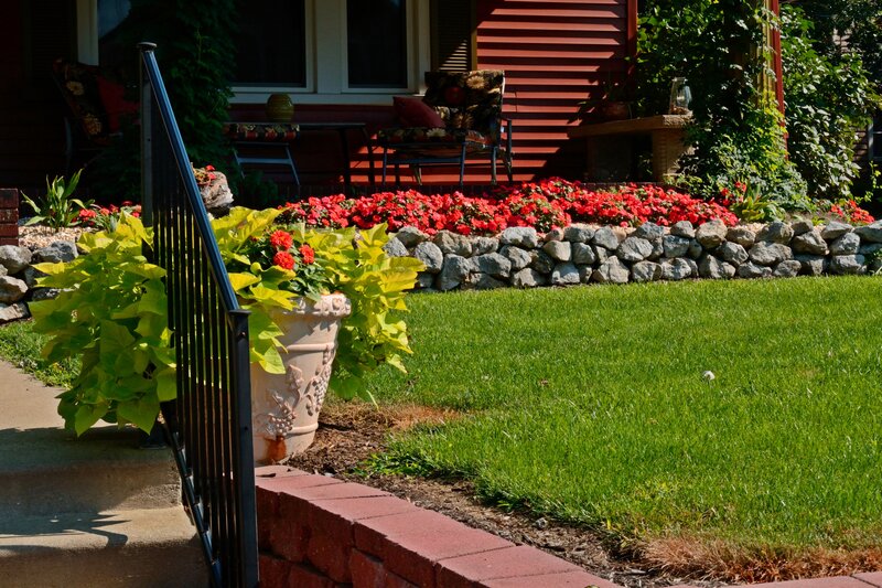 Front Yard Garden — Green, Serene, Afternoon