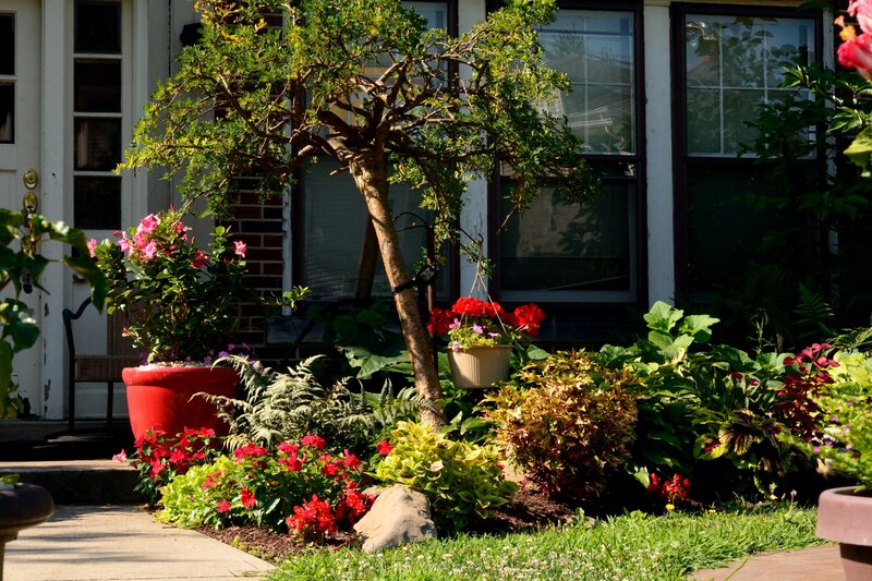 Front Yard Garden — Green, Serene