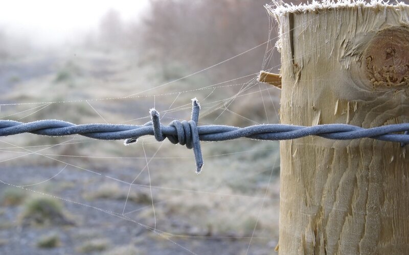 Frost-covered Barbed Wire — Gray, Cold