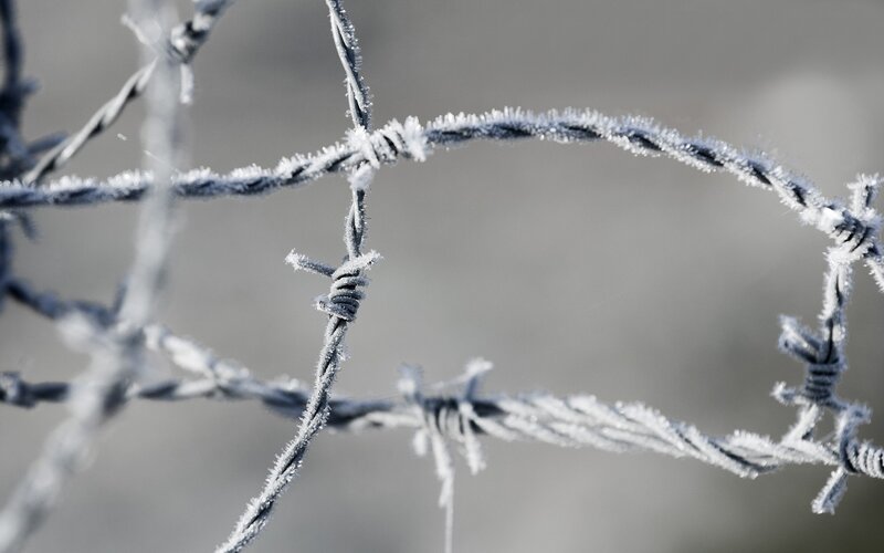 Frost-covered Barbed Wire — Gray, Cold, Winter