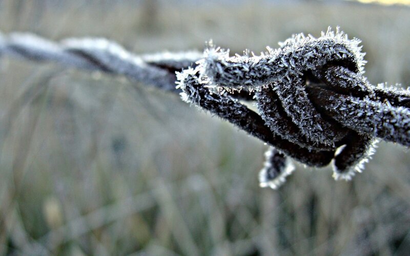 Frost-covered Barbed Wire — White, Cold