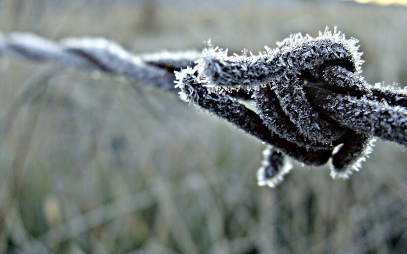 Frost-covered Barbed Wire — White, Cold, Winter, Photograph, Barbed Wire