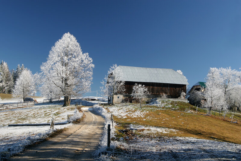 Frost-covered Barn — Blue, Serene